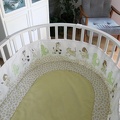 IMG 7336